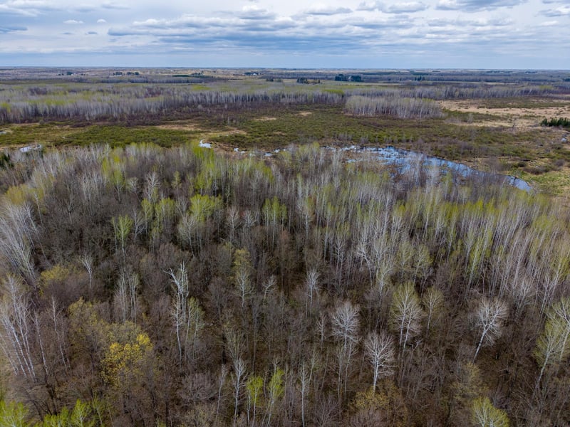 XXX Brown Rd, Kettle River, MN 55757