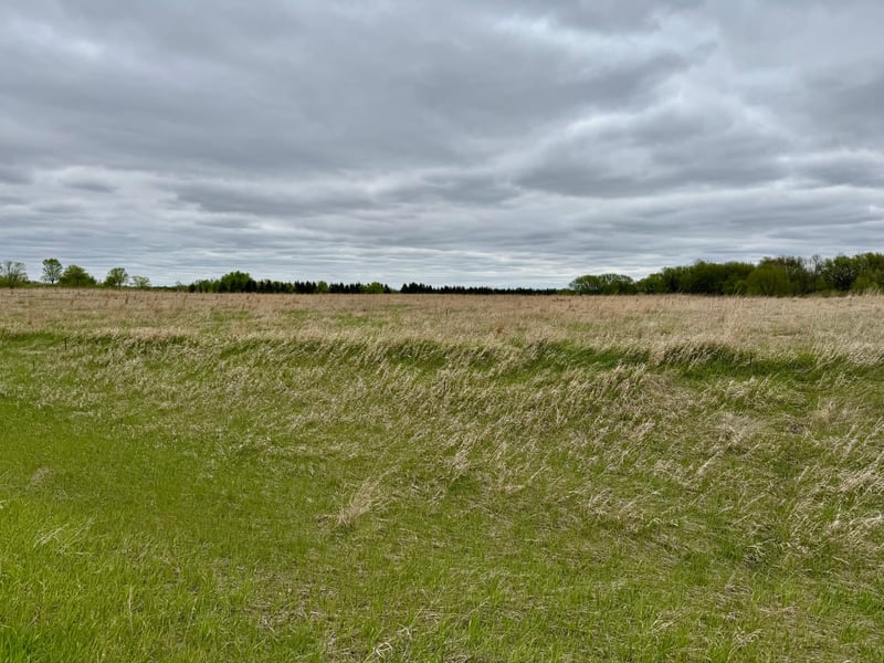 TBD County Highway 138, Parkers Prairie, MN 56361