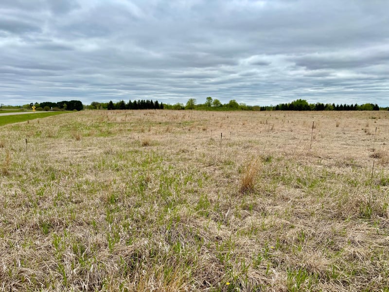 TBD County Highway 138, Parkers Prairie, MN 56361