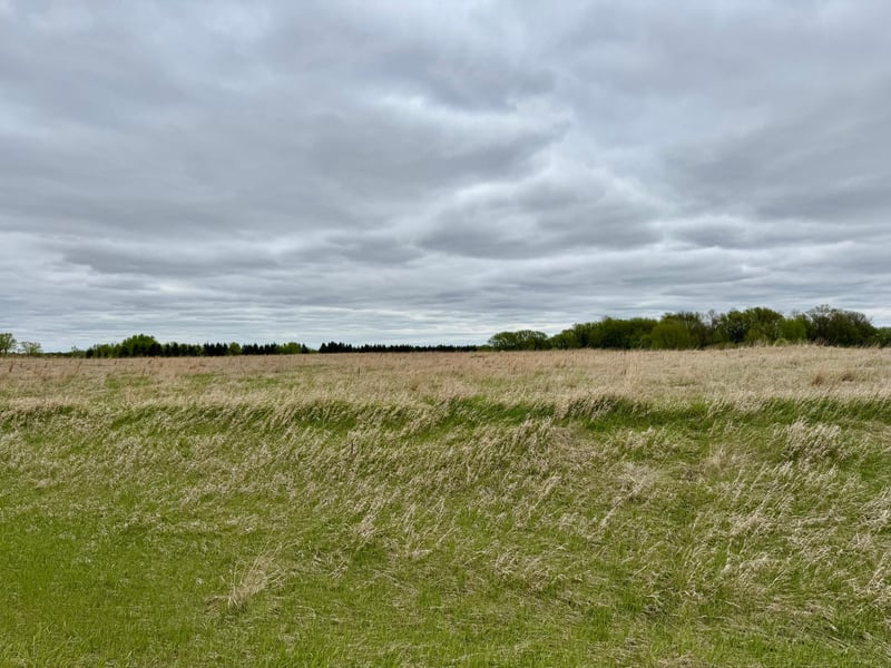 TBD County Highway 138, Parkers Prairie, MN 56361