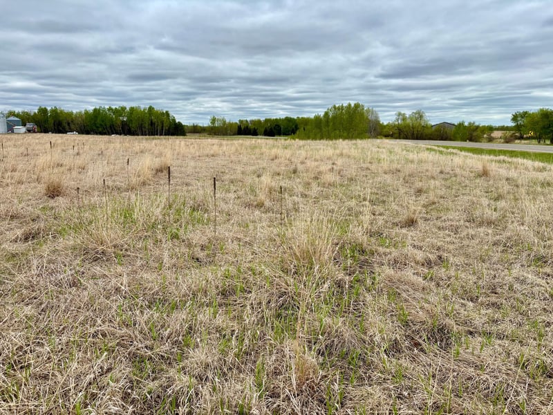 TBD County Highway 138, Parkers Prairie, MN 56361