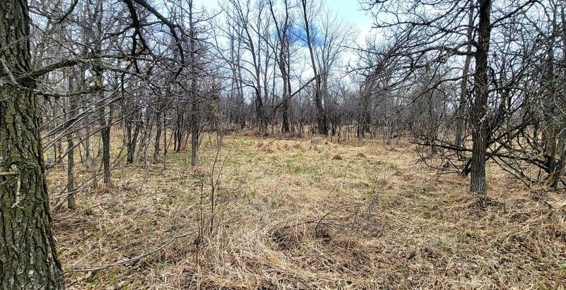290xx County Highway 35, Underwood, MN 56586