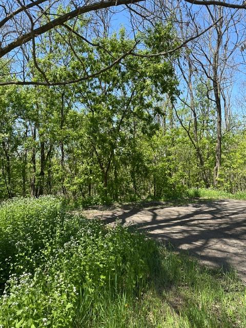 XXX S Adams St, Saint Croix Falls, WI 54024