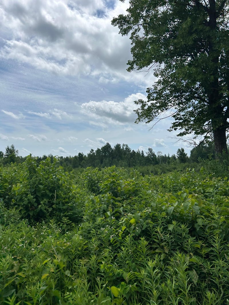 TBD1 Duncan Rd, Sandstone, MN 55072