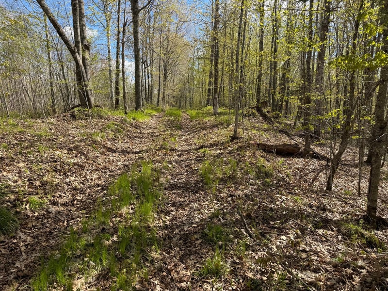 TBD Leonard Rd, Birchwood, WI 54817