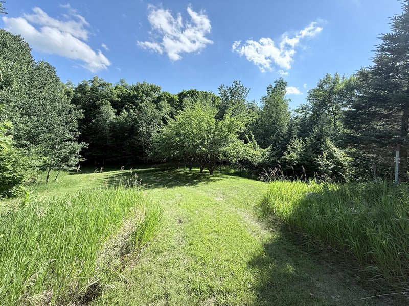 50050 Leek Lake Dr, Vergas, MN 56587