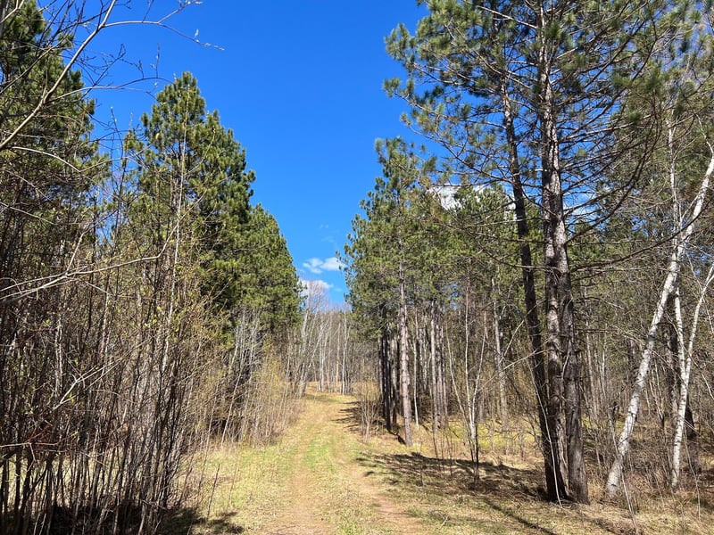 0 Maple Grove Rd, Cloquet, MN 55720