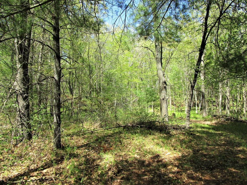 XX S Long Lake Rd, Siren, WI 54872
