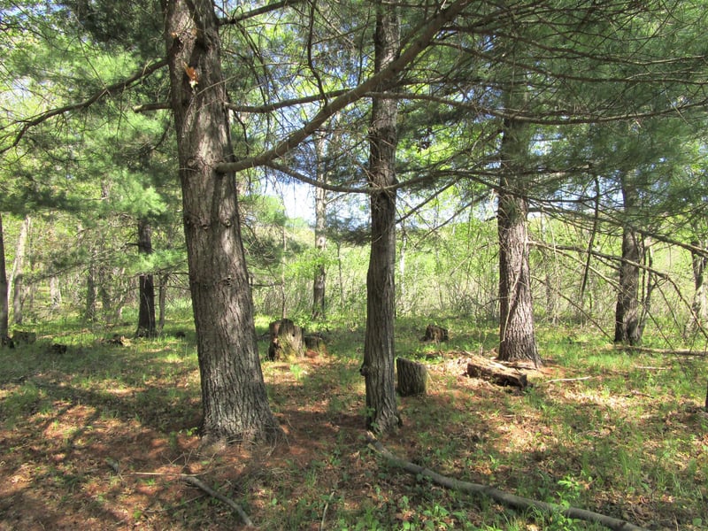 XX S Long Lake Rd, Siren, WI 54872