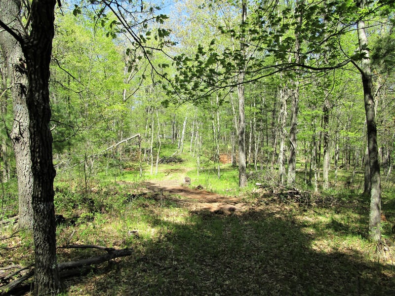 XX S Long Lake Rd, Siren, WI 54872