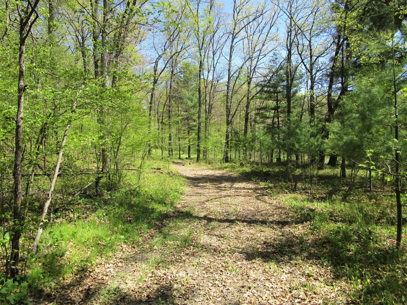 XX S Long Lake Rd, Siren, WI 54872