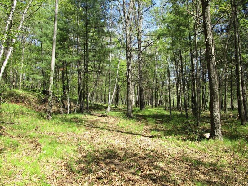 XX S Long Lake Rd, Siren, WI 54872