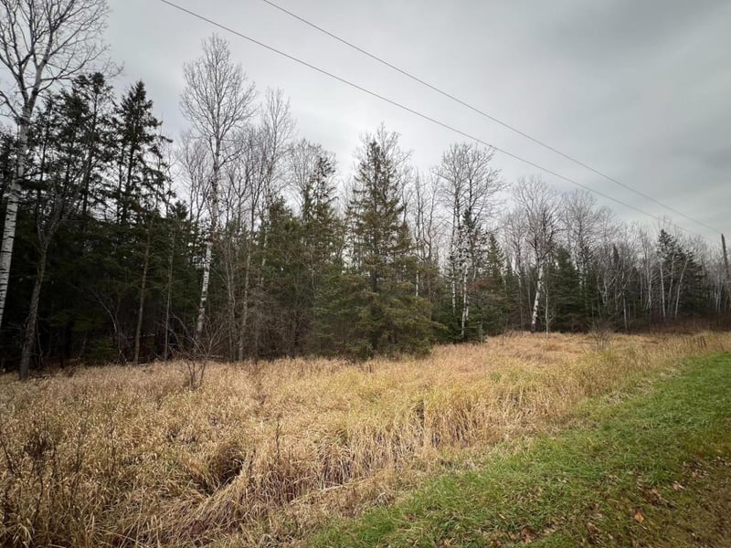 TBD Townline Rd, Hibbing, MN 55746