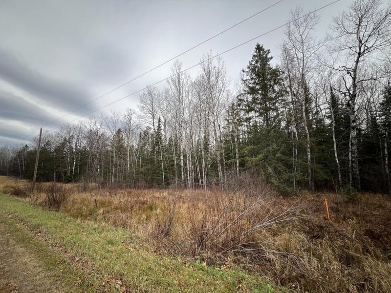 TBD Townline Rd, Hibbing, MN 55746