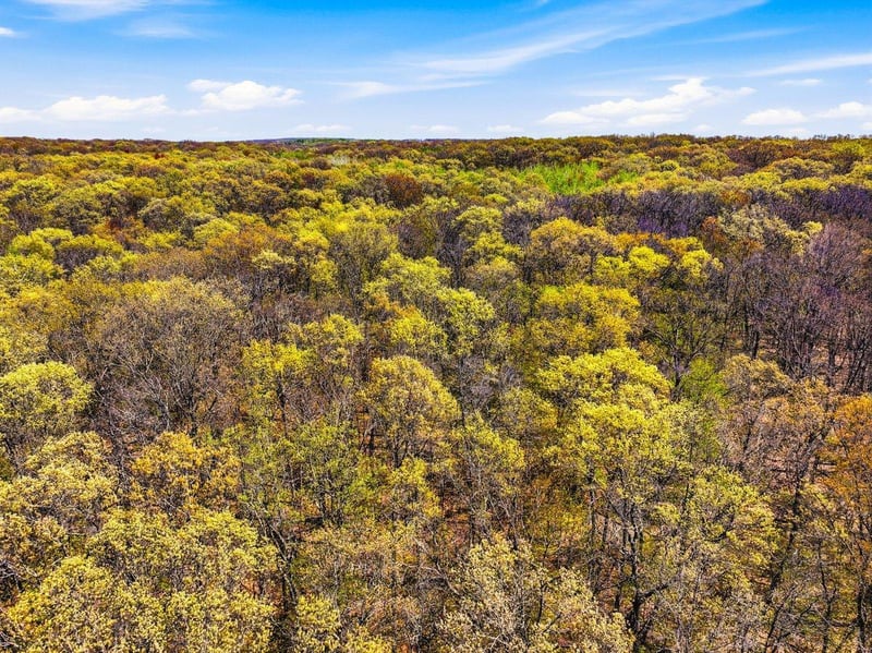 W6474 River Rd, Trego, WI 54888