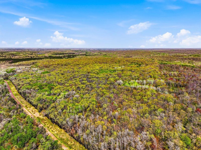 W6474 River Rd, Trego, WI 54888