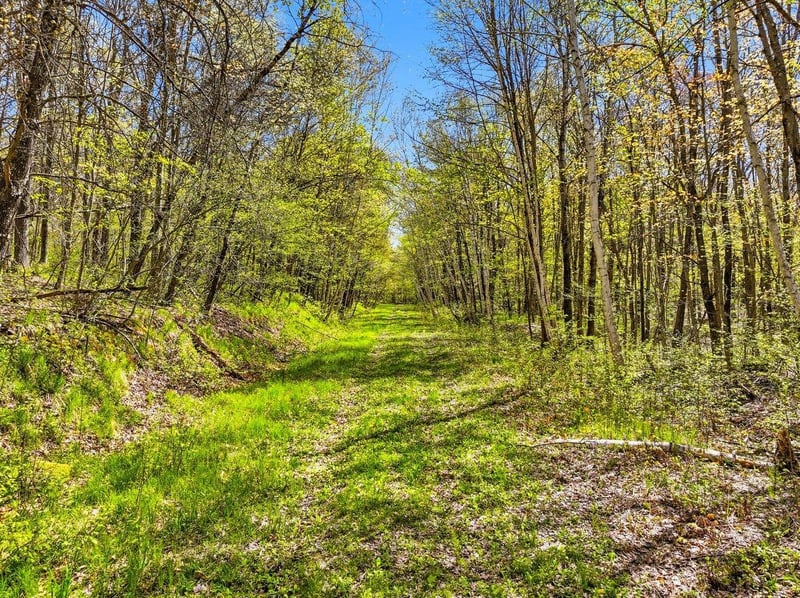 W6474 River Rd, Trego, WI 54888