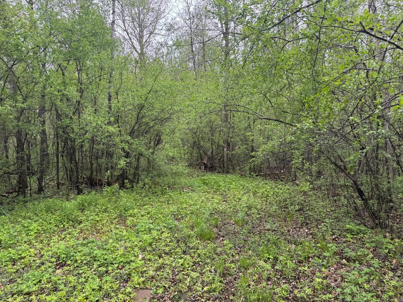 138xx Hwy 23, Milaca, MN 56353