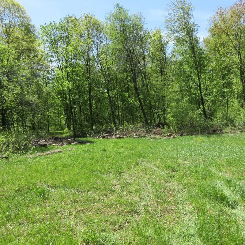 xxx 810th Ave, Boyceville, WI 54751