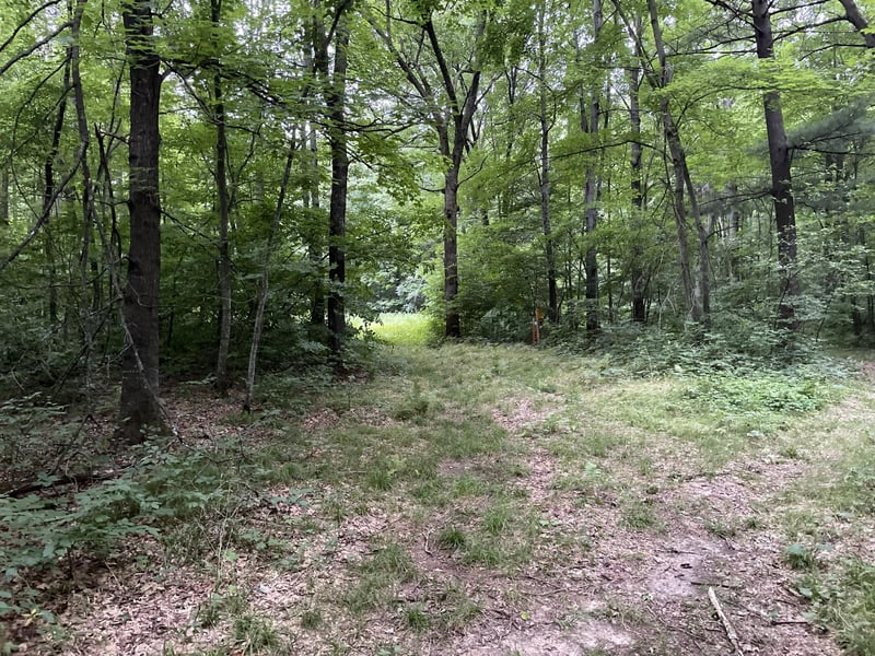 xxx 810th Ave, Boyceville, WI 54751