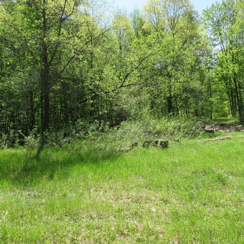 xxx 810th Ave, Boyceville, WI 54751