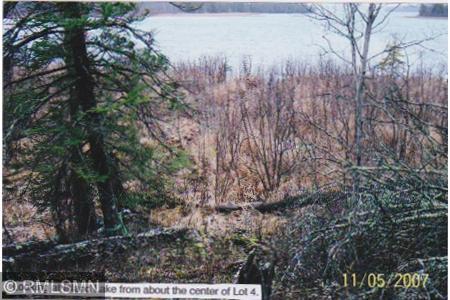 4xxxx Moose Bay Trl, Northome, MN 56661