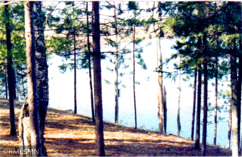 4xxxx Moose Bay Trl, Northome, MN 56661
