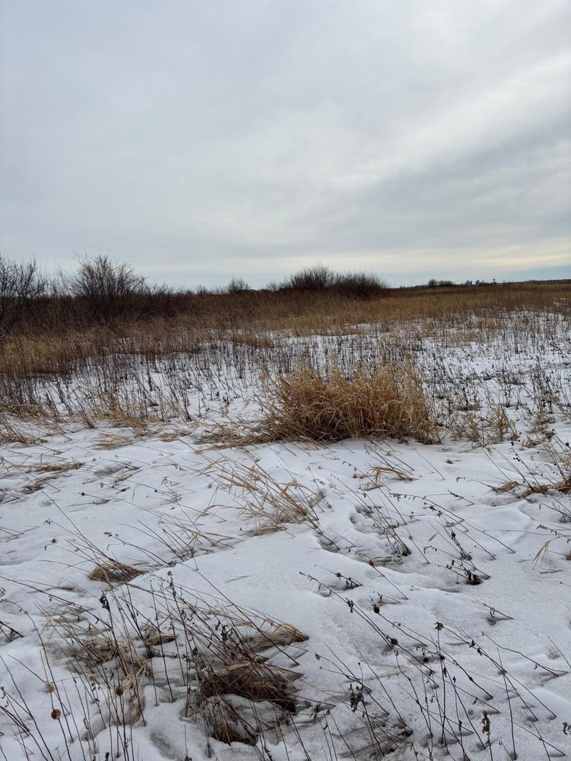 TBD Hwy 59, Mahnomen, MN 56557