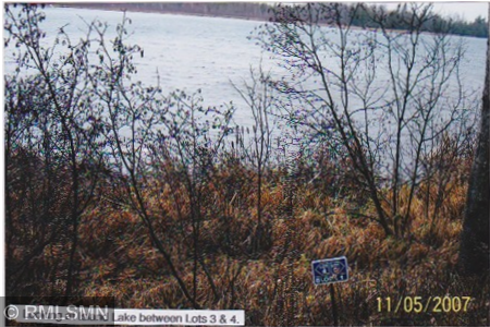 6xxxx Moose Bay Trl, Northome, MN 56661