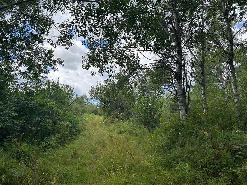 TBD2 Duncan Rd, Sandstone, MN 55072
