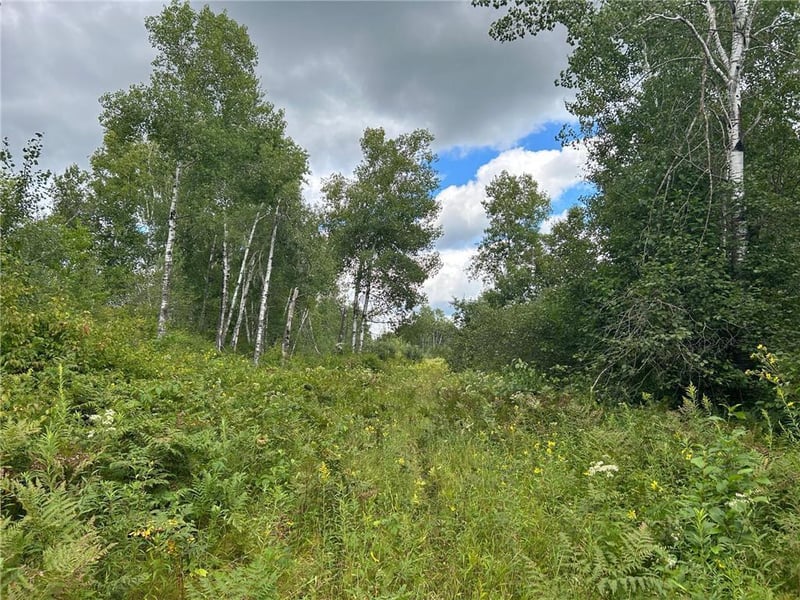TBD2 Duncan Rd, Sandstone, MN 55072