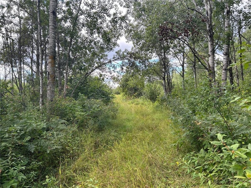 TBD2 Duncan Rd, Sandstone, MN 55072