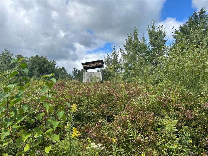TBD2 Duncan Rd, Sandstone, MN 55072