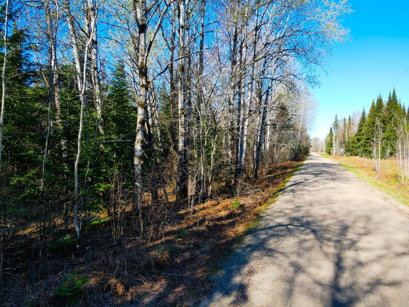 Parcel B Township Road D, Wawina, MN 55736