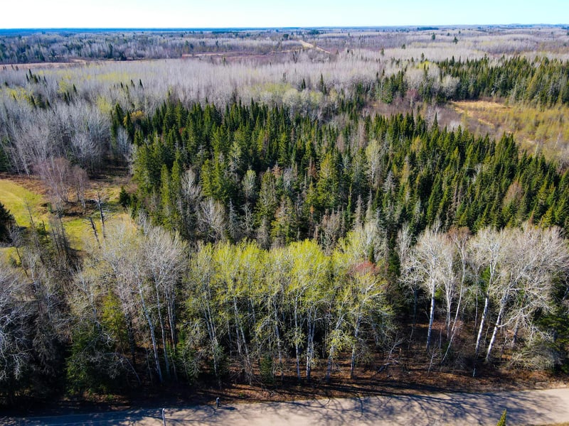Parcel B Township Road D, Wawina, MN 55736