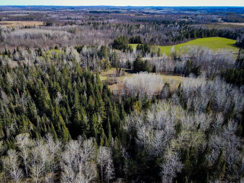 12905 Township Road D, Wawina, MN 55736