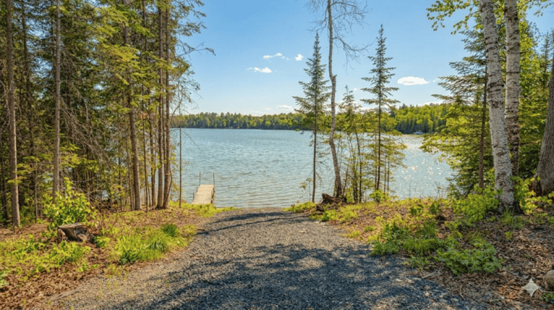 53549 Little Bear Trl, Bigfork, MN 56657