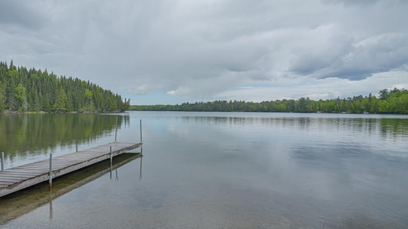 53549 Little Bear Trl, Bigfork, MN 56657