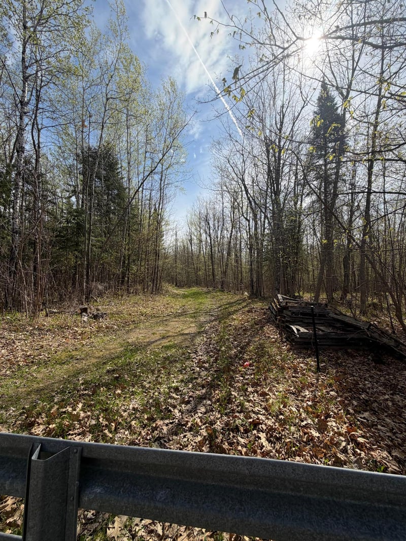 35294 State Highway 38, Grand Rapids, MN 55744