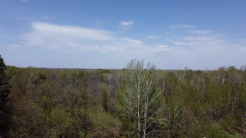 010071303 State Highway 210, Aitkin, MN 56431