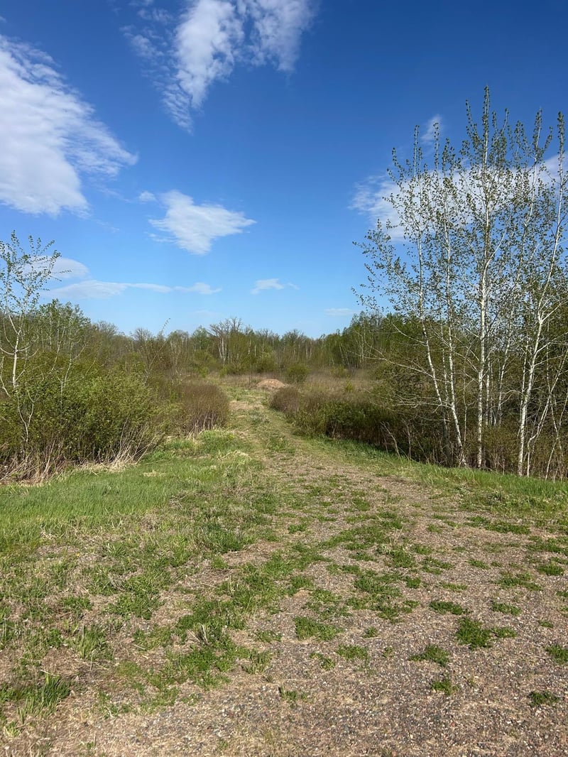 TBD 100 Ave, Milaca, MN 56353