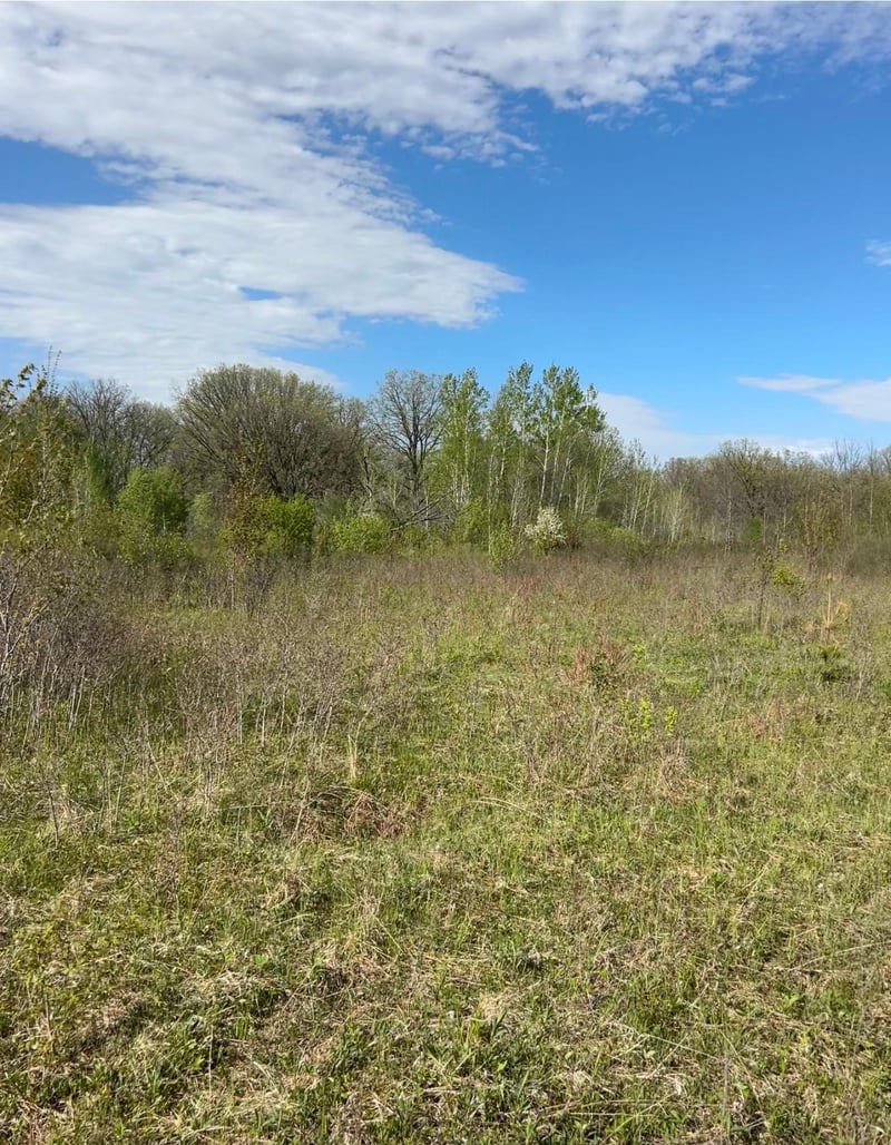 TBD 100 Ave, Milaca, MN 56353