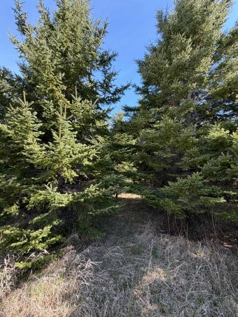 TBD 66th Ave NE, Remer, MN 56672