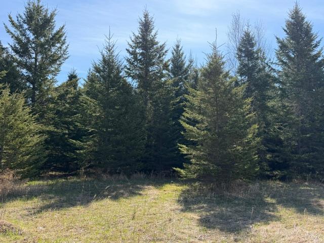 TBD 66th Ave NE, Remer, MN 56672