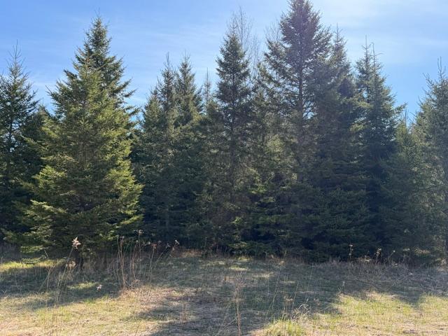 TBD 66th Ave NE, Remer, MN 56672