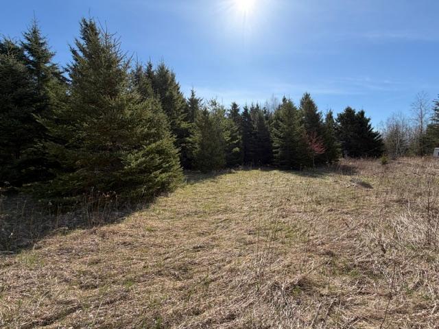 TBD 66th Ave NE, Remer, MN 56672
