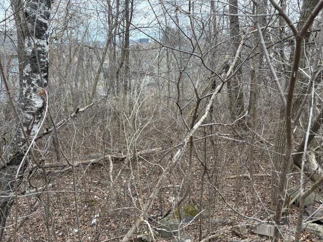 59xx Lexington St, Duluth, MN 55807