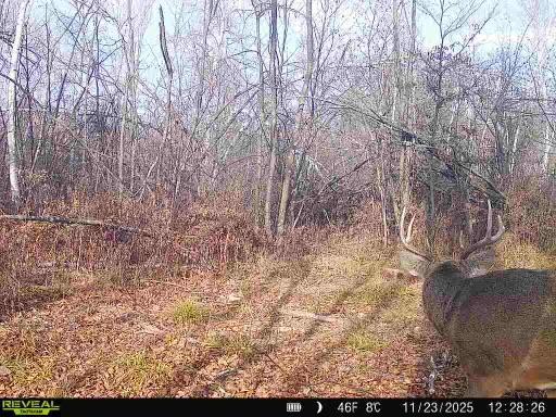 xxx Fleming Logging Rd, Hinckley, MN 55037
