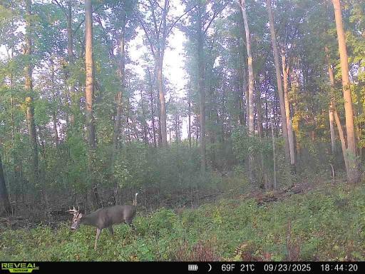 xxx Fleming Logging Rd, Hinckley, MN 55037