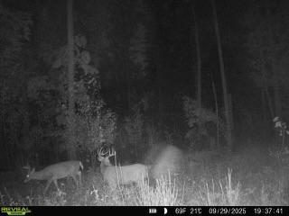 xxx Fleming Logging Rd, Hinckley, MN 55037